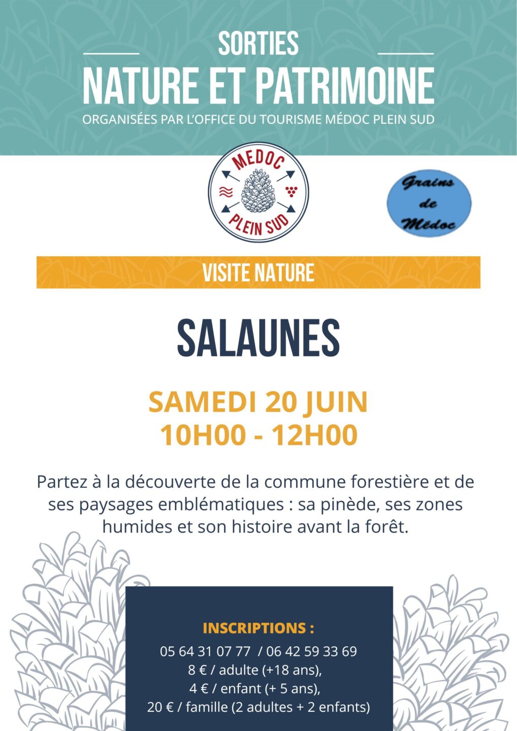 Sortie nature. Sortie découverte milieu naturel à Salaunes.  Salaunes