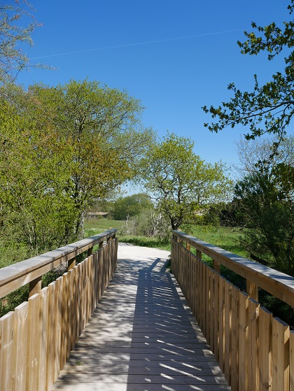 Sortie participative le papillon de nuit Port Ostréïcole Arès