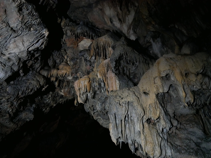 Sous le causse, ça s’affine ! – visite d&rsquo;une ancienne cave d&rsquo;affinage souterraine, 43.955021, 3.417815 D270, 30770 Campestre-et-Luc, Campestre-et-Luc