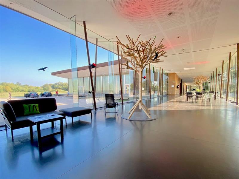 Spectacle ateliers théâtre et improvisation Quai de l'Ill Sélestat 2026-06-11