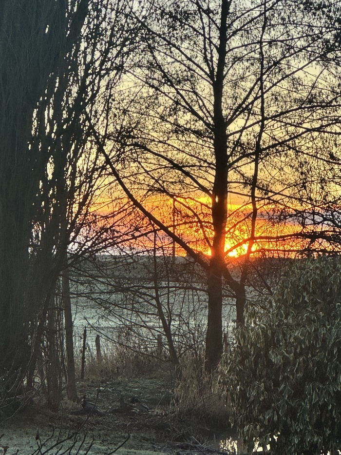 Spectacle déambulatoire : arbres en magie, une déambulation enchantée, Le moulin de Radray, Loisail