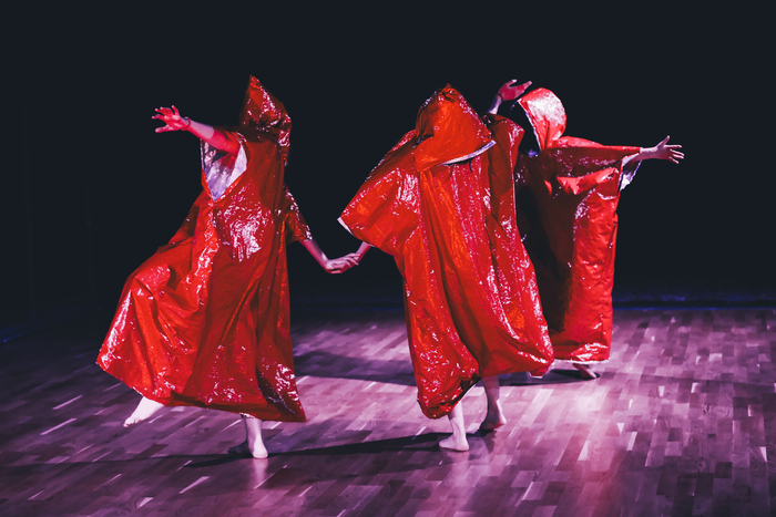 Spectacle : Orukami Musée des Beaux-arts Rouen