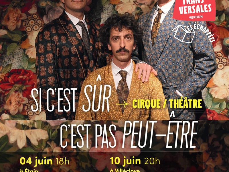 Spectacle Si c&rsquo;est sûr c&rsquo;est pas peut-être La halle (quartier gare) Étain