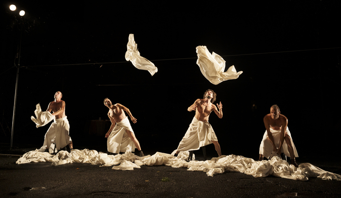 Spectacle vivant : Cirque Chorégraphique d’Investigation, Domaine départemental de Chamarande, Chamarande