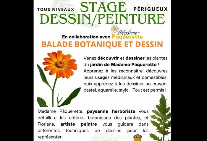 STAGE BALADE BOTANIQUE ET DESSIN, 74 Chem. de Beaupuy, 24000 Périgueux, France, Périgueux