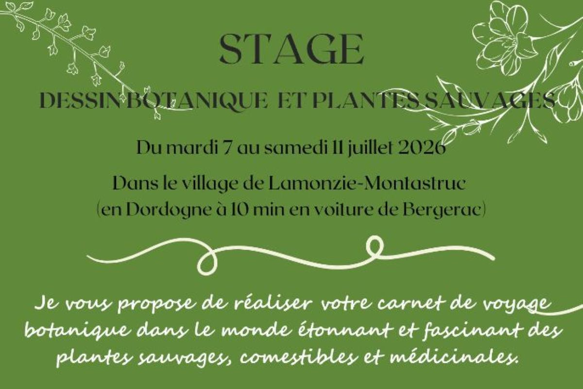 Stage dessin botanique et plantes sauvages LAMONZIE-MONTASTRUC Lamonzie-Montastruc 2026-07-07