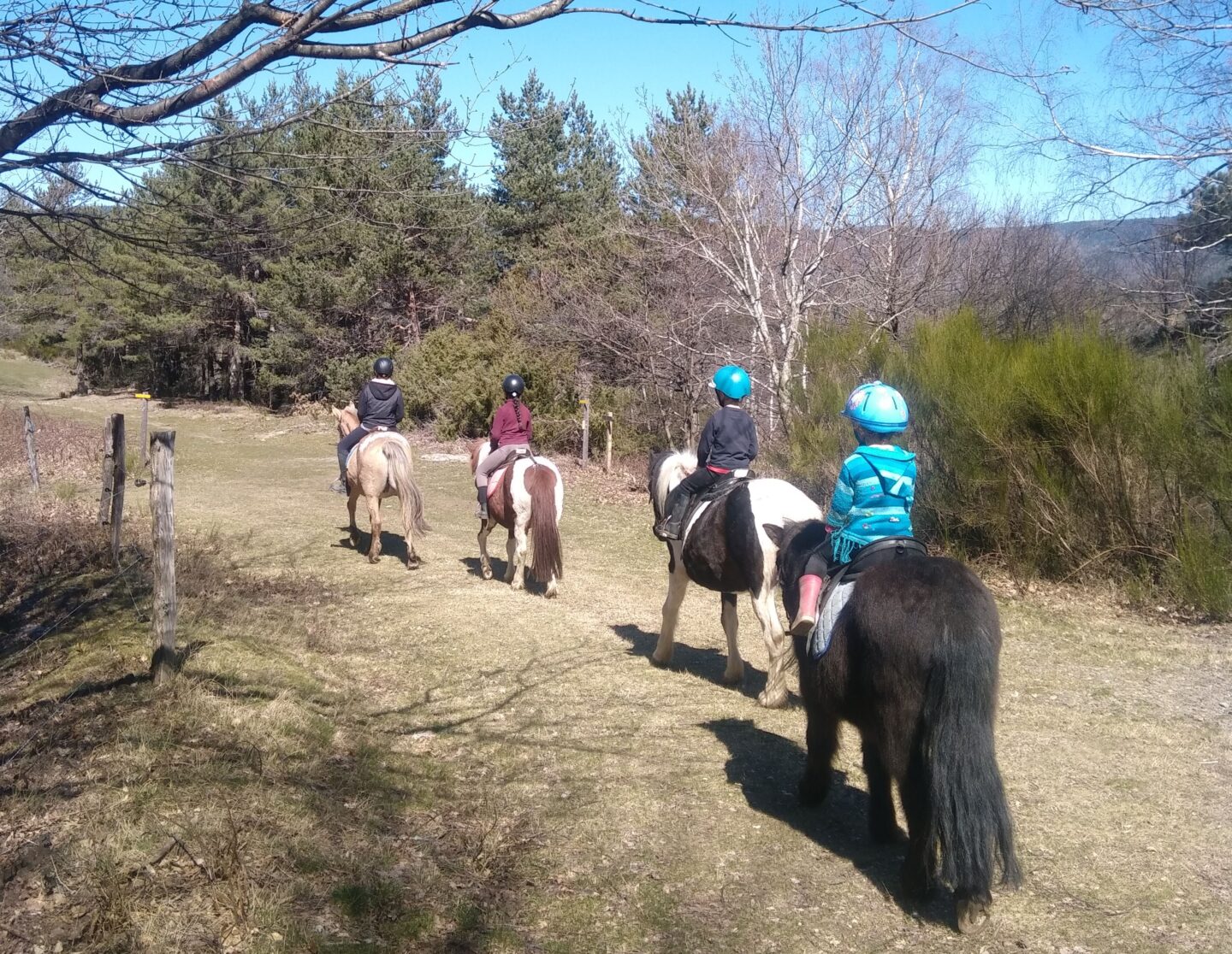 STAGE EQUESTRE INITIATION DECOUVERTE  Saint-André-de-Lancize