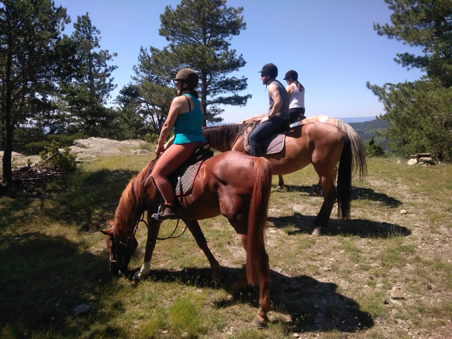 STAGE GALOP 3/4/5  Saint-André-de-Lancize