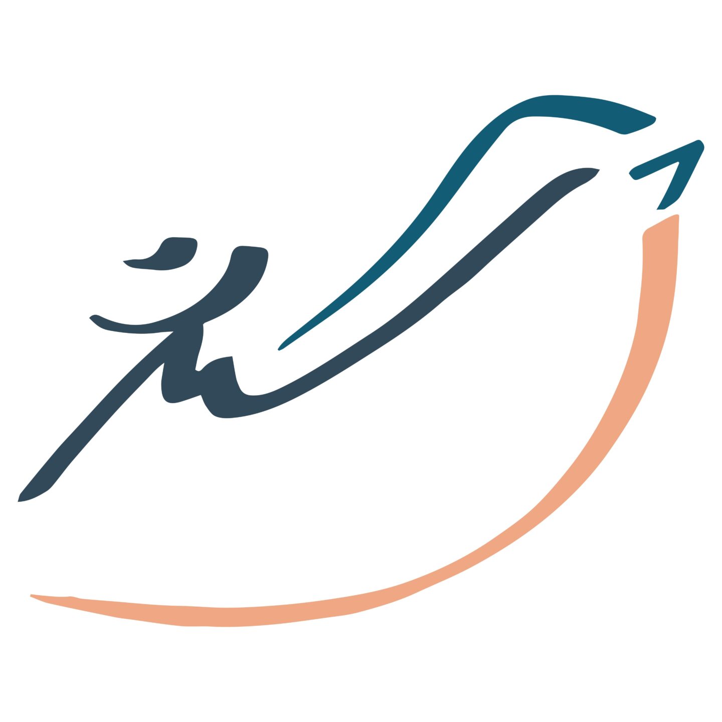 Stage Poterie des sittelles-Atelier découverte du tournage Saint-Amand-de-Vergt