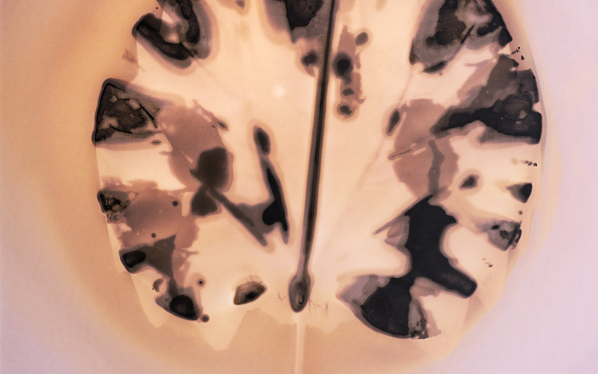 Stage vacances enfants 6-11 ans — Expérimentation végétale avec Alexandra Serrano Maison Européenne de la Photographie Paris