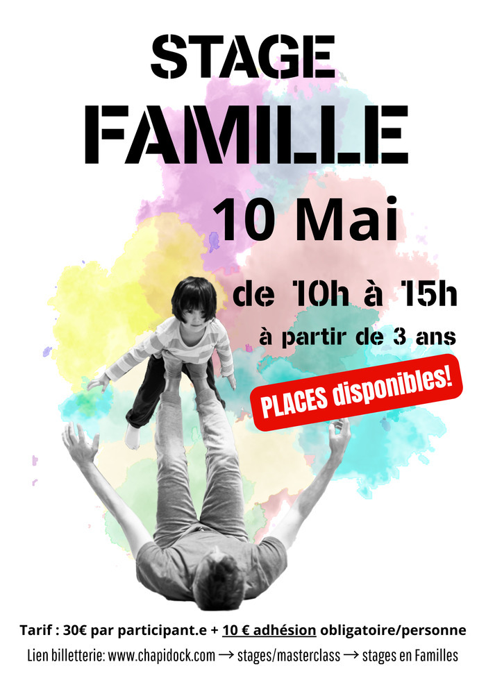 Stages Cirque en Famille Chapidock – Ecole des arts du cirque Nantes