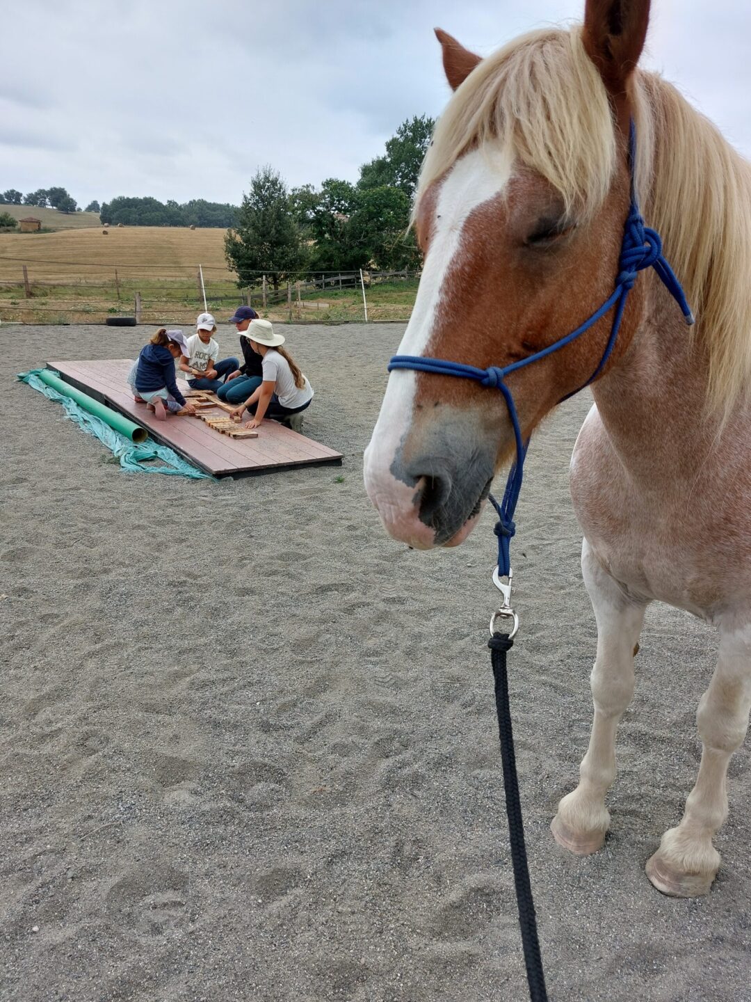 STAGES MENSUELS EQUIYOGA LU-JONG DES 5 ELEMENTS lieu-dit Mondine Cassagnabère-Tournas