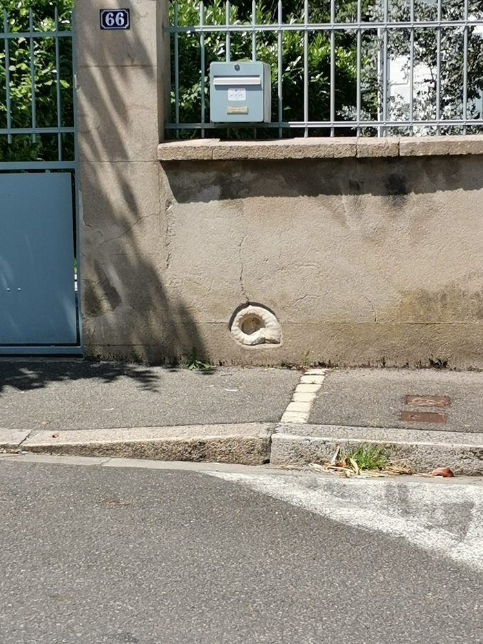 Sur les pas de l&rsquo;ammonite – Atelier 6/12 ans, CIAP (Centre d&rsquo;interprétation de l&rsquo;Architecture et du Patrimoine), Nevers