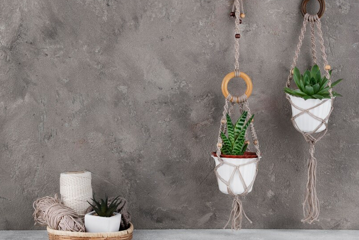 Suspension végétale en macramé, Maison du jardinier et de la nature en ville, Bordeaux
