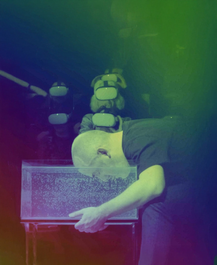 SWAMI, La ferme corsange, Bailly-Romainvilliers