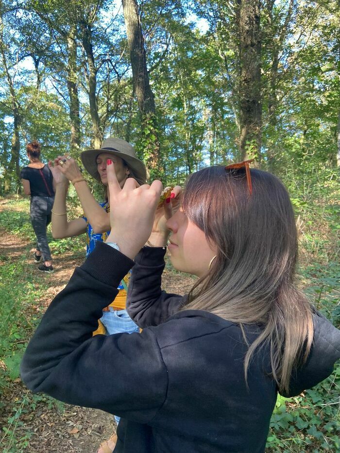 sylvothérapie – shinrin yoku, Ker Riwalan, 22140 Bégard, France, Trezelan