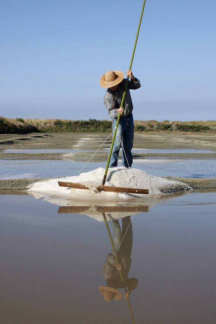 Terre de Sel – Le sel de Guérande, Terre de sel – Le sel de Guérande, Guérande