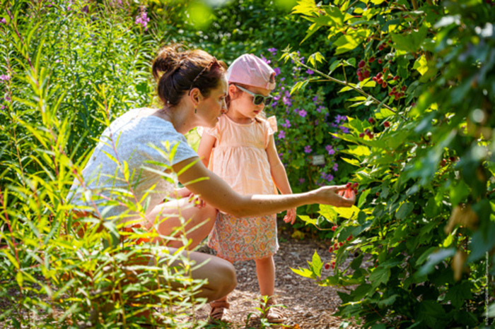 Testez vos connaissances aux jardins du Puygirault, Jardins du Puygirault, Saumur