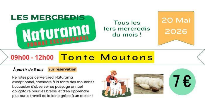 Tonte moutons et Atelier laine - Le Mercredi Naturama Spécial du 20 mai 2026 Centre d'Initiation à la Nature (Naturama) Saint-Cyr-sur-le-Rhône