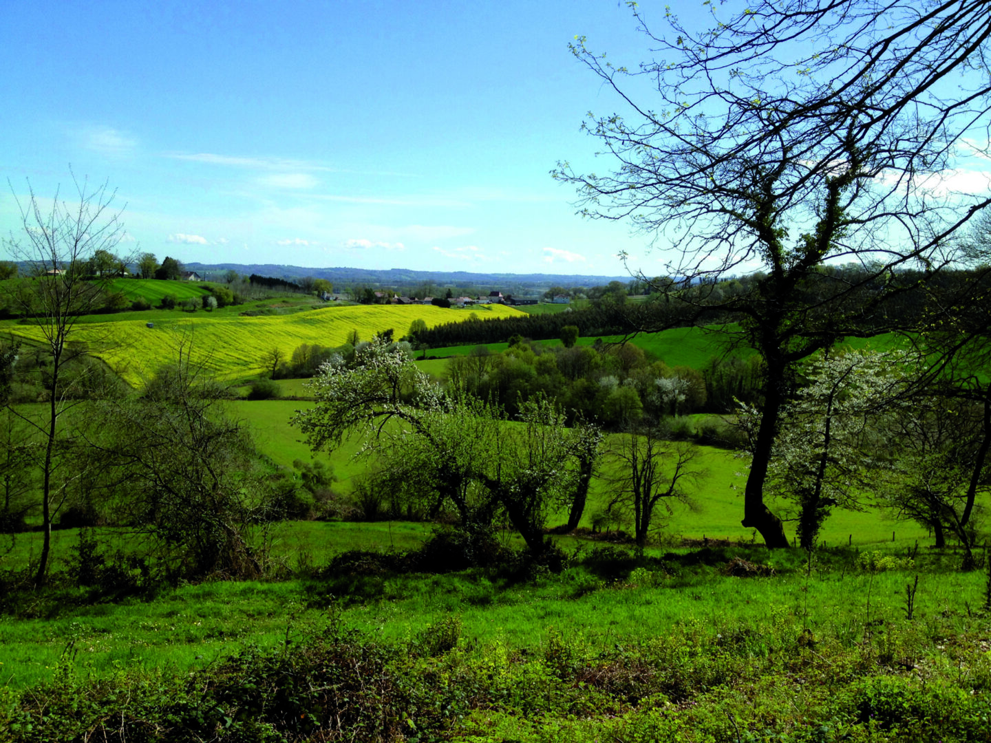 Tour de Mesplède Mesplède Pyrénées-Atlantiques
