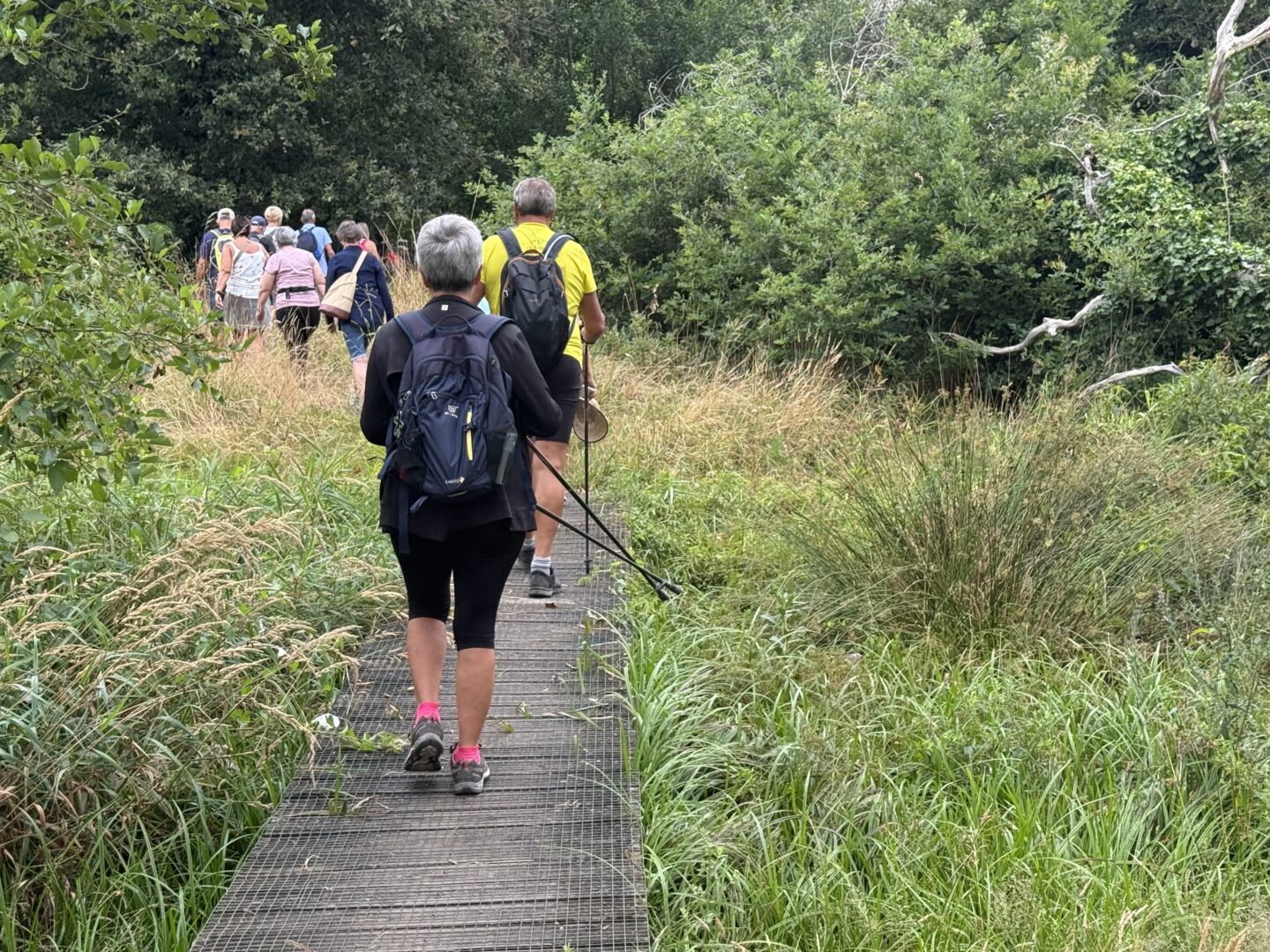 Tour du lac Saint Paul Aureilhan  Saint-Paul-en-Born
