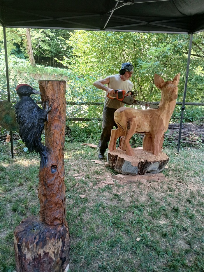 Tours et Détours en Forêt, Ecomusée du Bois et de la Forêt, Thônes