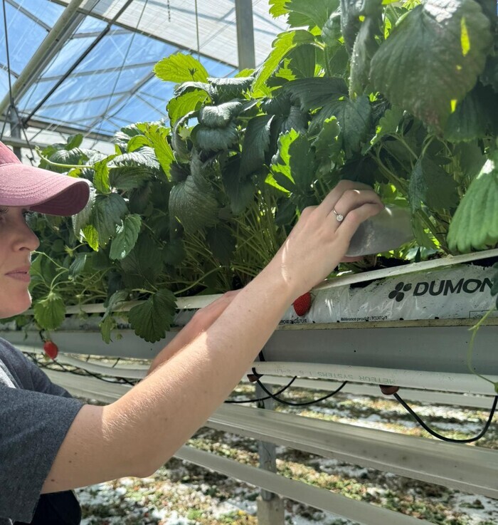 Tous à la ferme -Ana L&rsquo;EOST, Tous à la ferme -Ana L&rsquo;EOST, Loperhet