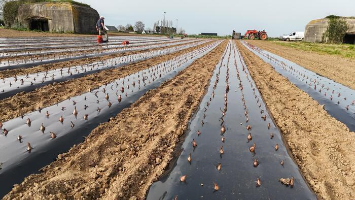Tous à la ferme – Terre d&rsquo;Essais, Terre d&rsquo;Essais, Pleumeur-Gautier