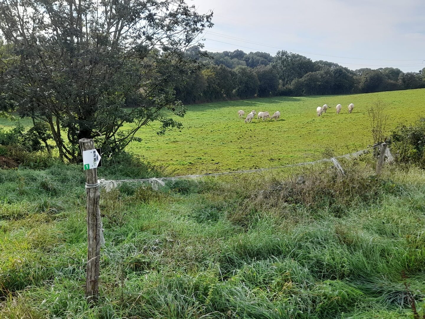 Trail au fil des vallées parcours 1 Saivres Deux-Sèvres