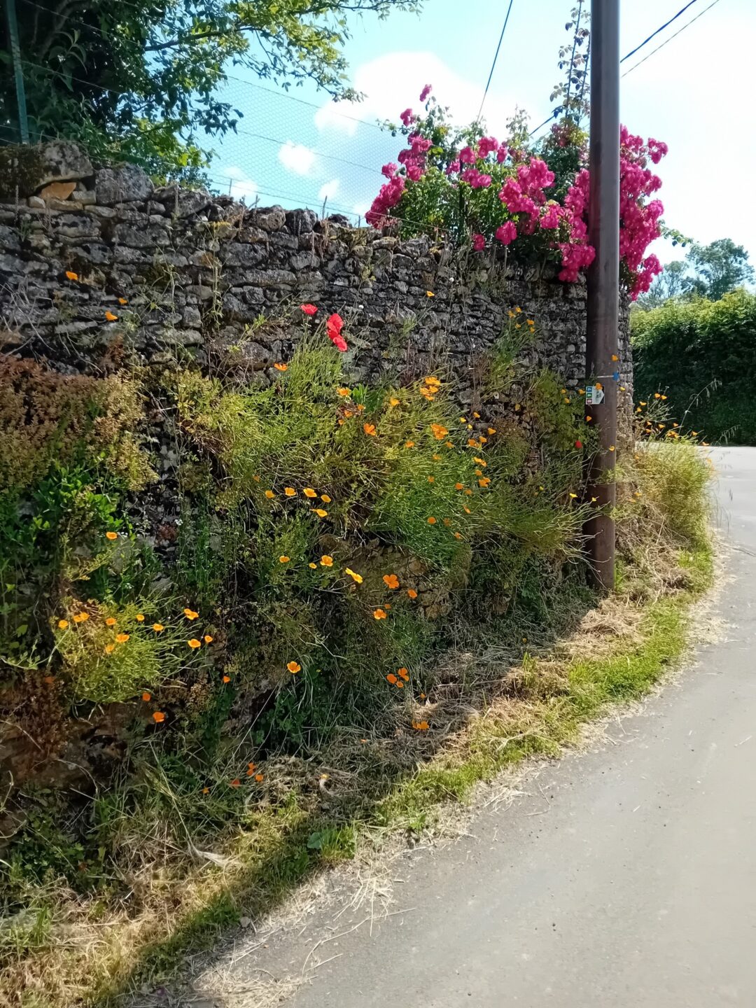 Trail au fil des vallées parcours 4 Azay-le-Brûlé Deux-Sèvres