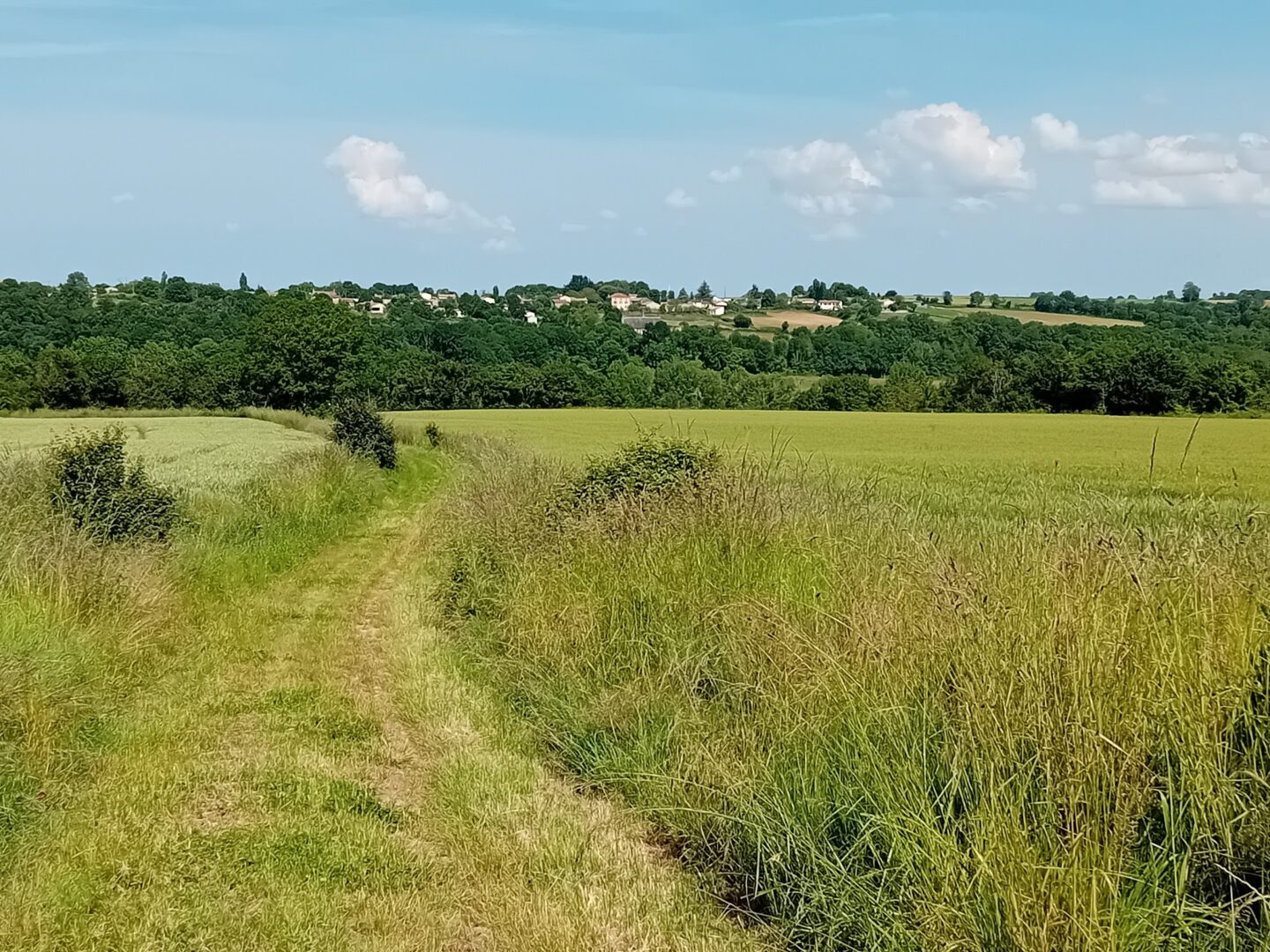 Trail au fil des vallées parcours 8 Azay-le-Brûlé Deux-Sèvres