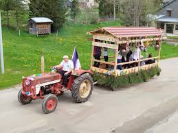 Transhumance des vaches pour notre juju Lieu dit Les landrys
