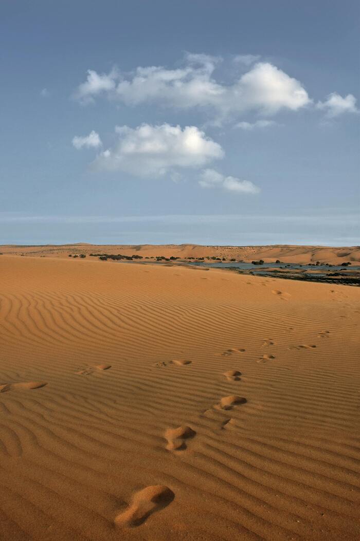 Travail autour du texte « Bérénice » de Racine, Théâtre Jules Julien, Toulouse
