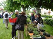 Troc aux plants  Saint-Aigny 2026-05-10
