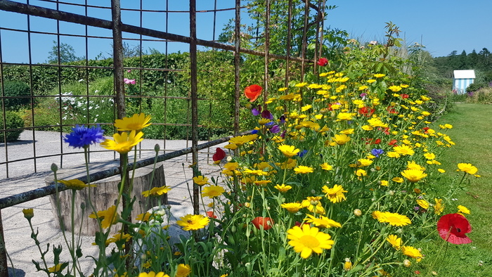 Troc de plantes au Château d'Hardelot Centre culturel de l'Entente Cordiale - Château d'Hardelot Condette