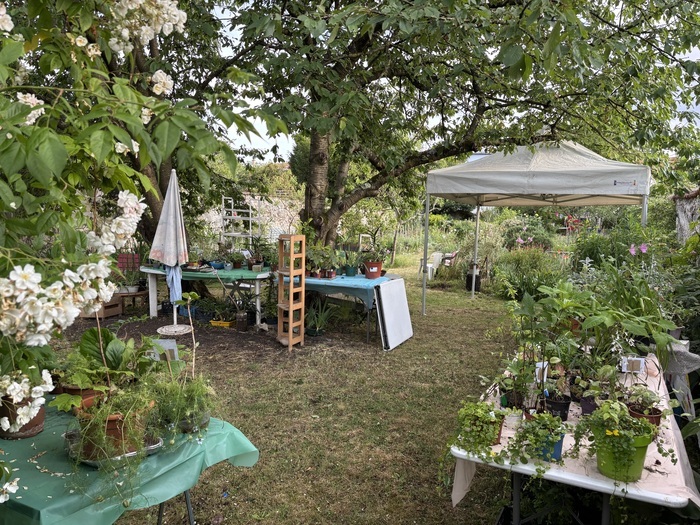 Troc et vente de plantes Jardin du côté des roches brunes Montreuil