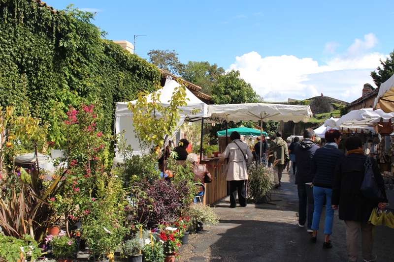 Troc-plantes à la citadelle de Blaye Couvent des Minimes Blaye 2026-05-17