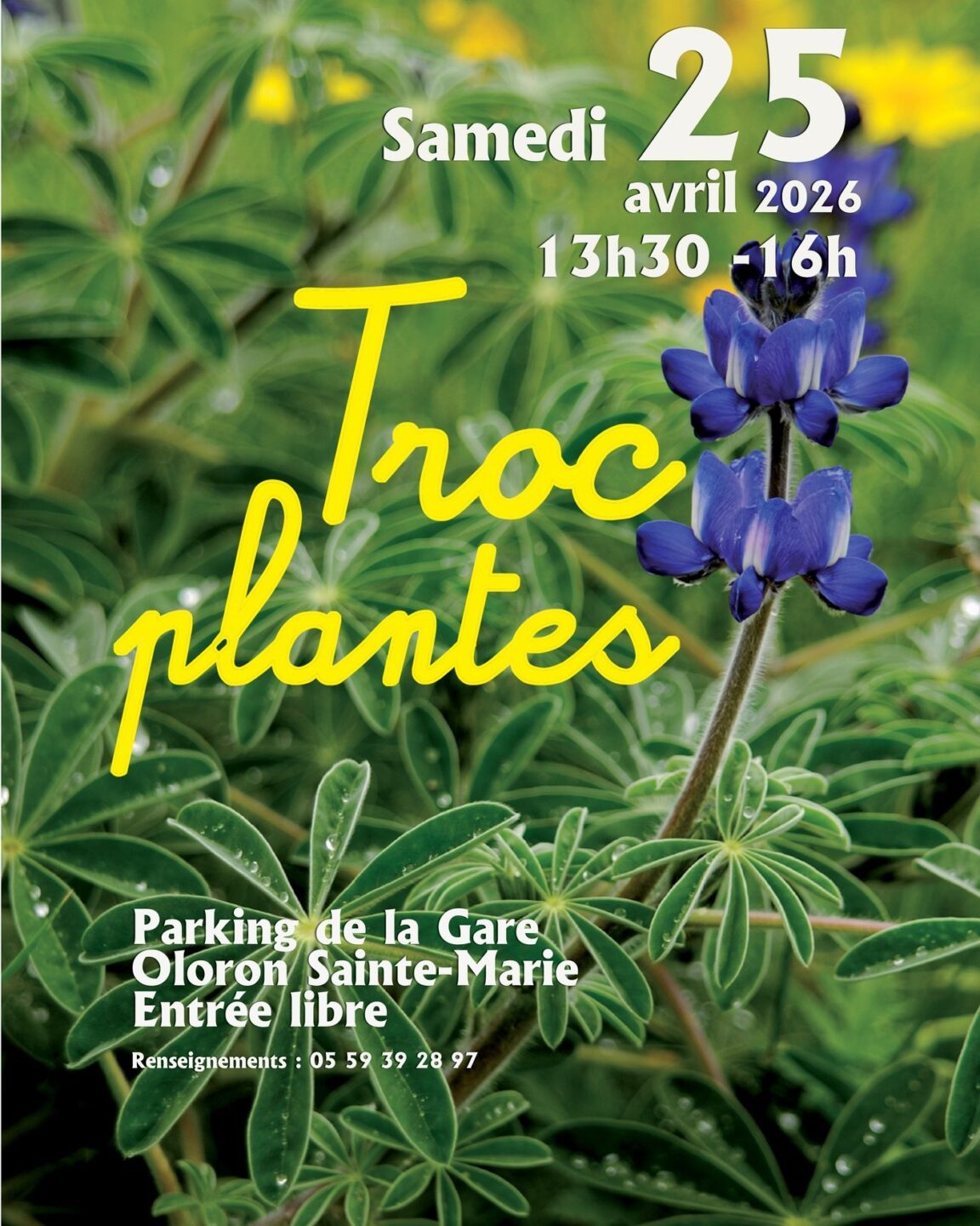 Troc plantes Parking de la Gare Oloron-Sainte-Marie