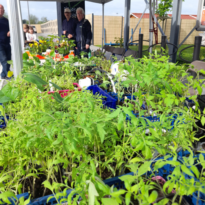 Troc’plants et Cie, La Source, Roncq