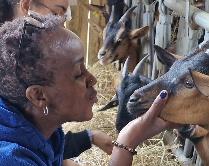 Un après-midi à la ferme, Chevrerie de la poterie, Dingé