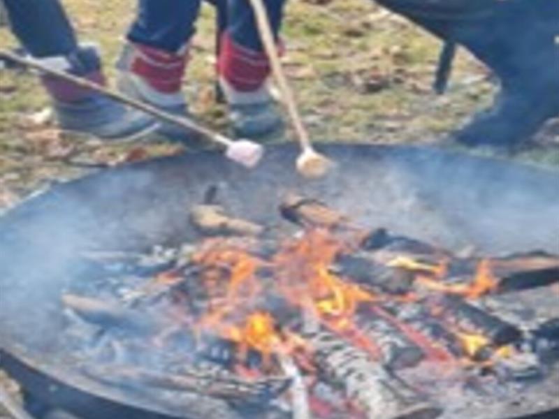 Un après-midi à la ferme Complicités Animales Ventron