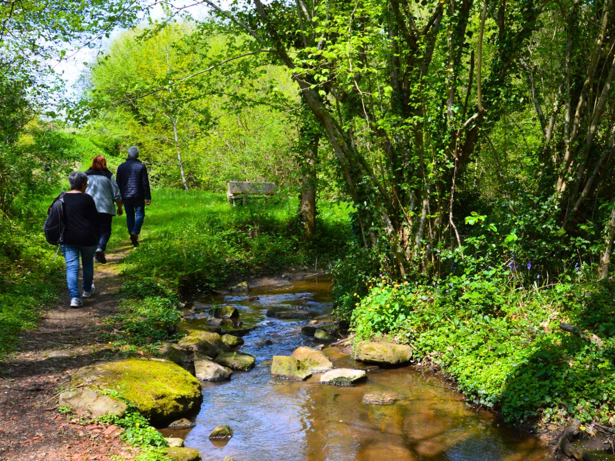 Un dimanche à Dournazac Marché de printemps et vide-greniers  Dournazac