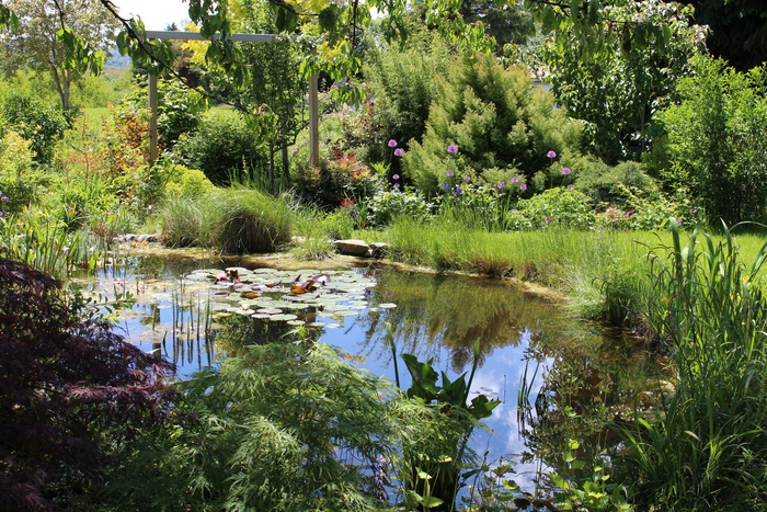 Un jardin à Mauchamp, Un Jardin à Mauchamp, Saint-Clair-de-la-Tour