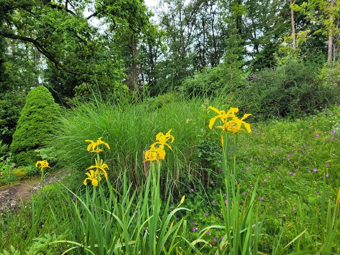 Un jardin enchanteur : le Jardin botanique du col de Saverne Jardin botanique du col de Saverne Ottersthal
