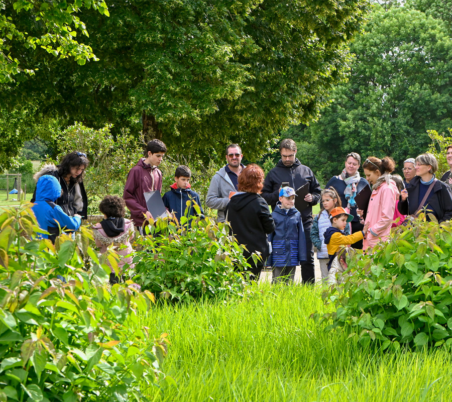 Un jardin, une couleur #1  Bruère-Allichamps