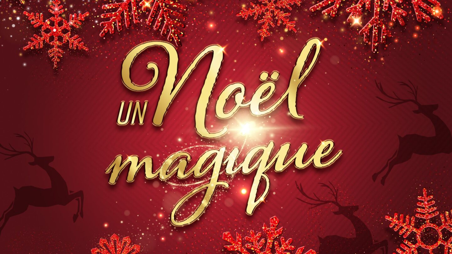 UN NOEL MAGIQUE THEATRE A L&rsquo;OUEST DE LYON Decines Charpieu