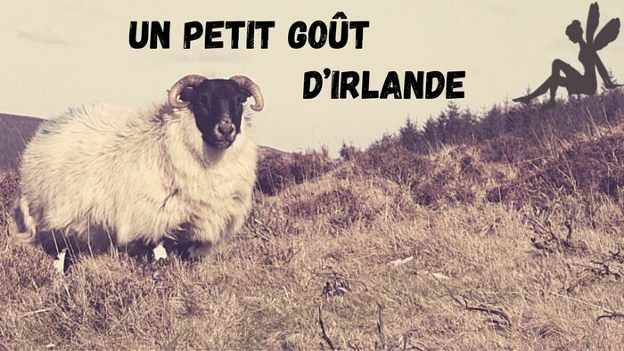 Un petit goût d'Irlande L'Autre lieu Cherbourg-en-Cotentin