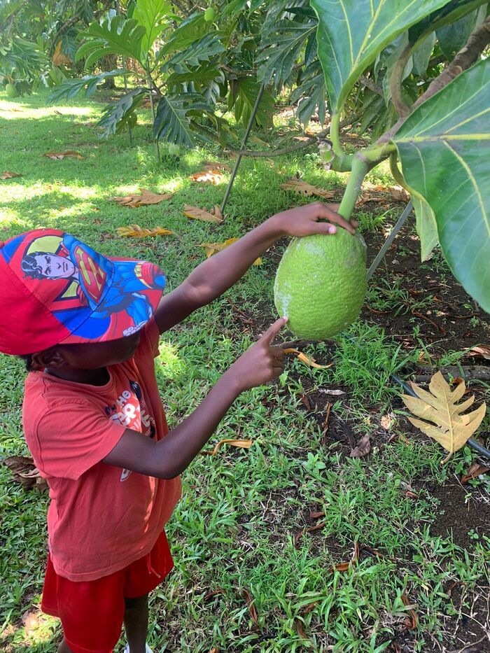 Un regard renouvelé sur un patrimoine emblématique de notre territoire