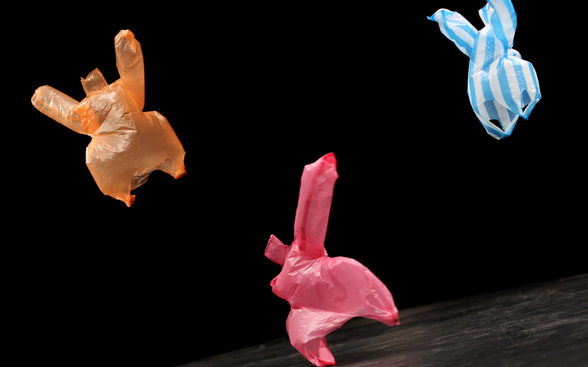 Un spectacle à voir en famille ! Gymnase de la cité scolaire François Villon Paris