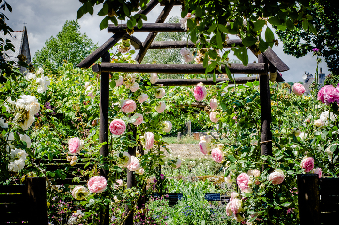 Un voyage au jardin d'Eden Jardin du Prieuré de Locmaria Quimper